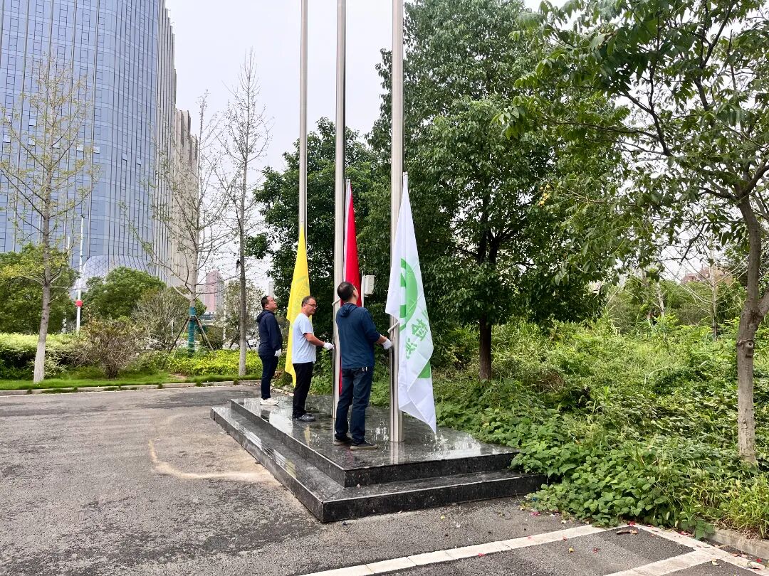 1764837909128475.jpg a7dcd9252e85919827e309a45c3701d7.jpg